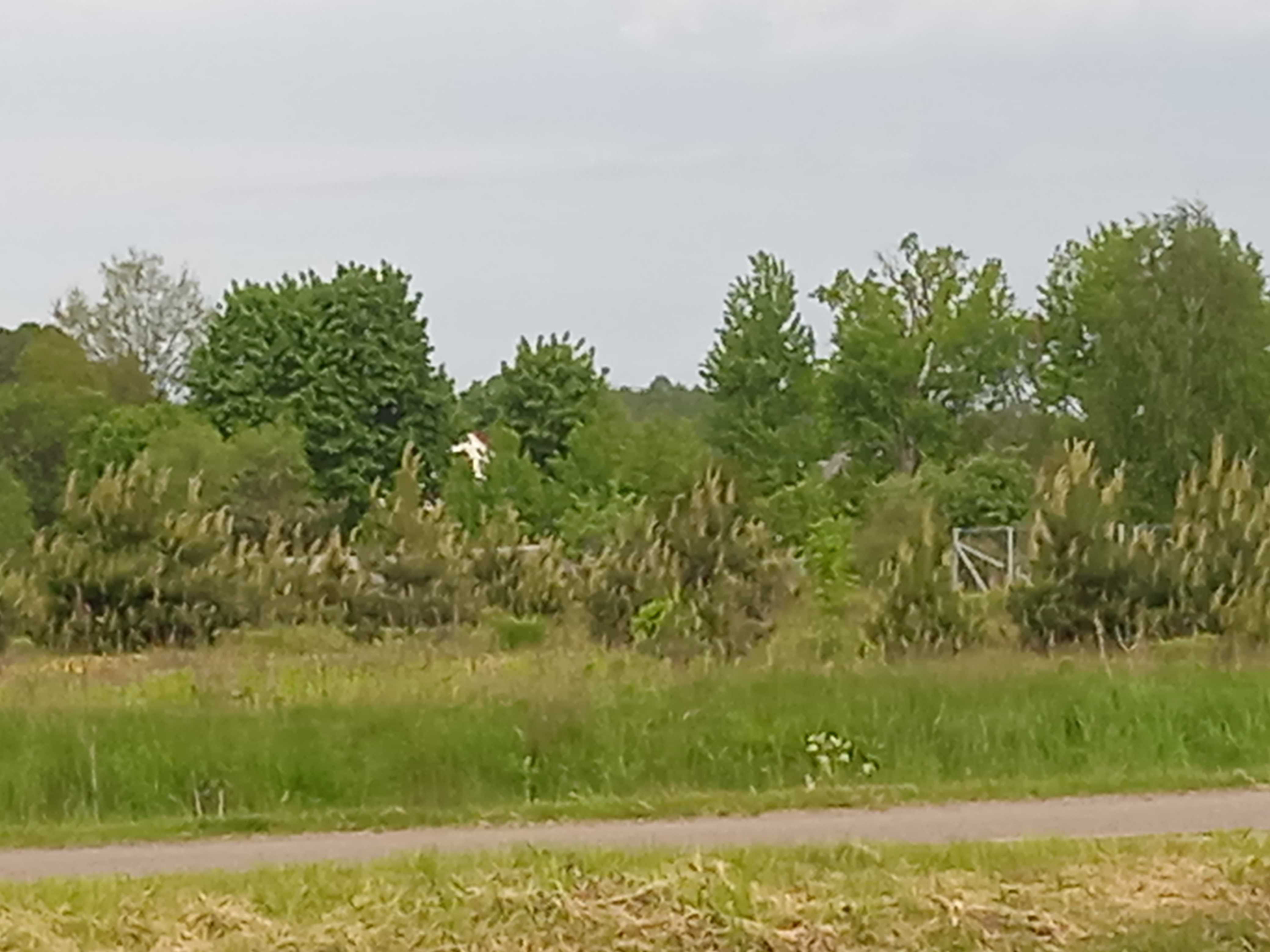 Działka budowlana Gródek nad zalewem.