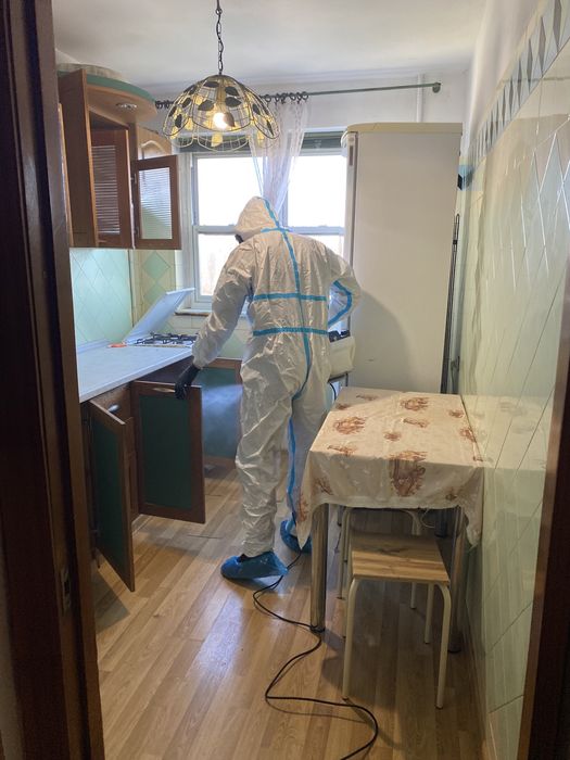 100% Знищення тарганів клопів блох мишей щурів шершнів ос с гарантією