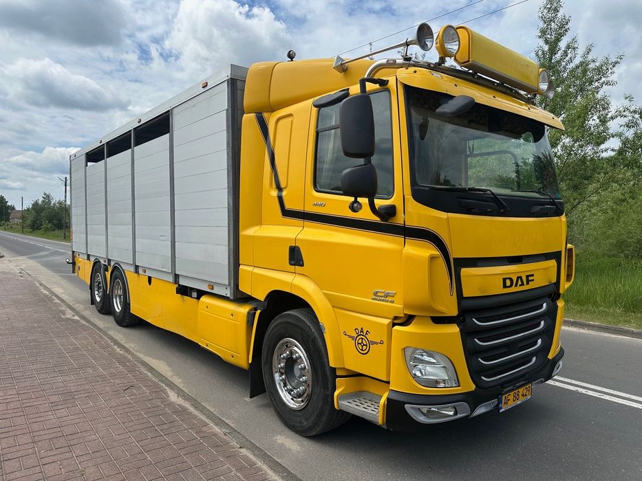 DAF CF 440  DO BYDLA -ZWIERZAT -ZYWCA