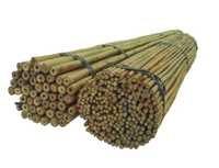 Tyczki Bambusowe 210 Cm 16/18 mm /100 Szt/