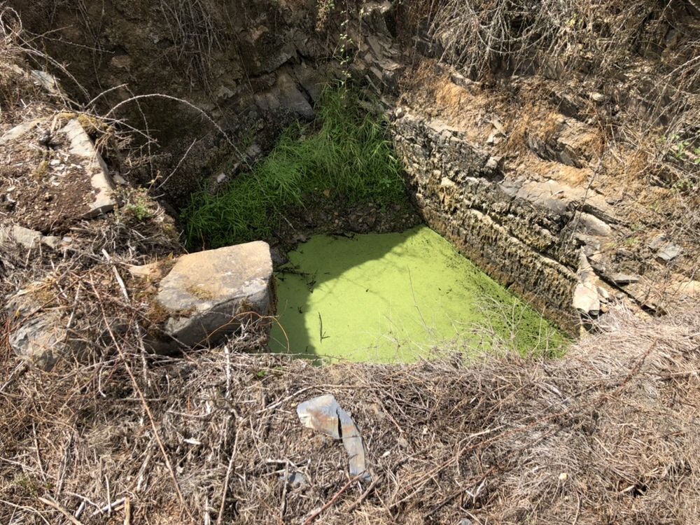 Terreno potencial para turismo rural na chaveira ,Cardigos,Mação