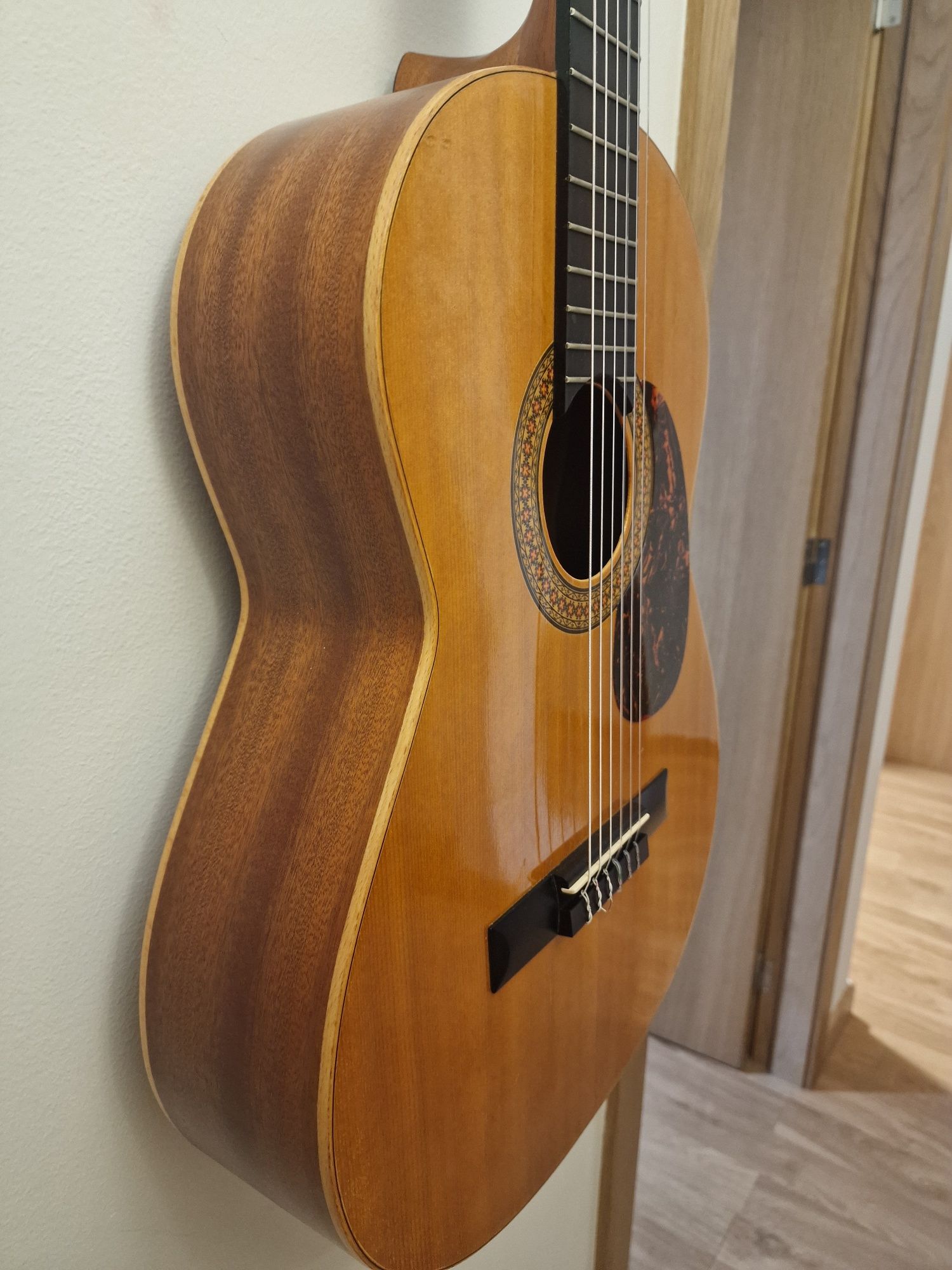 Viola clássica nylon
