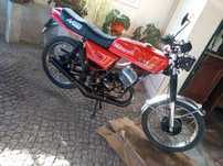 Macal Sport Minarel
