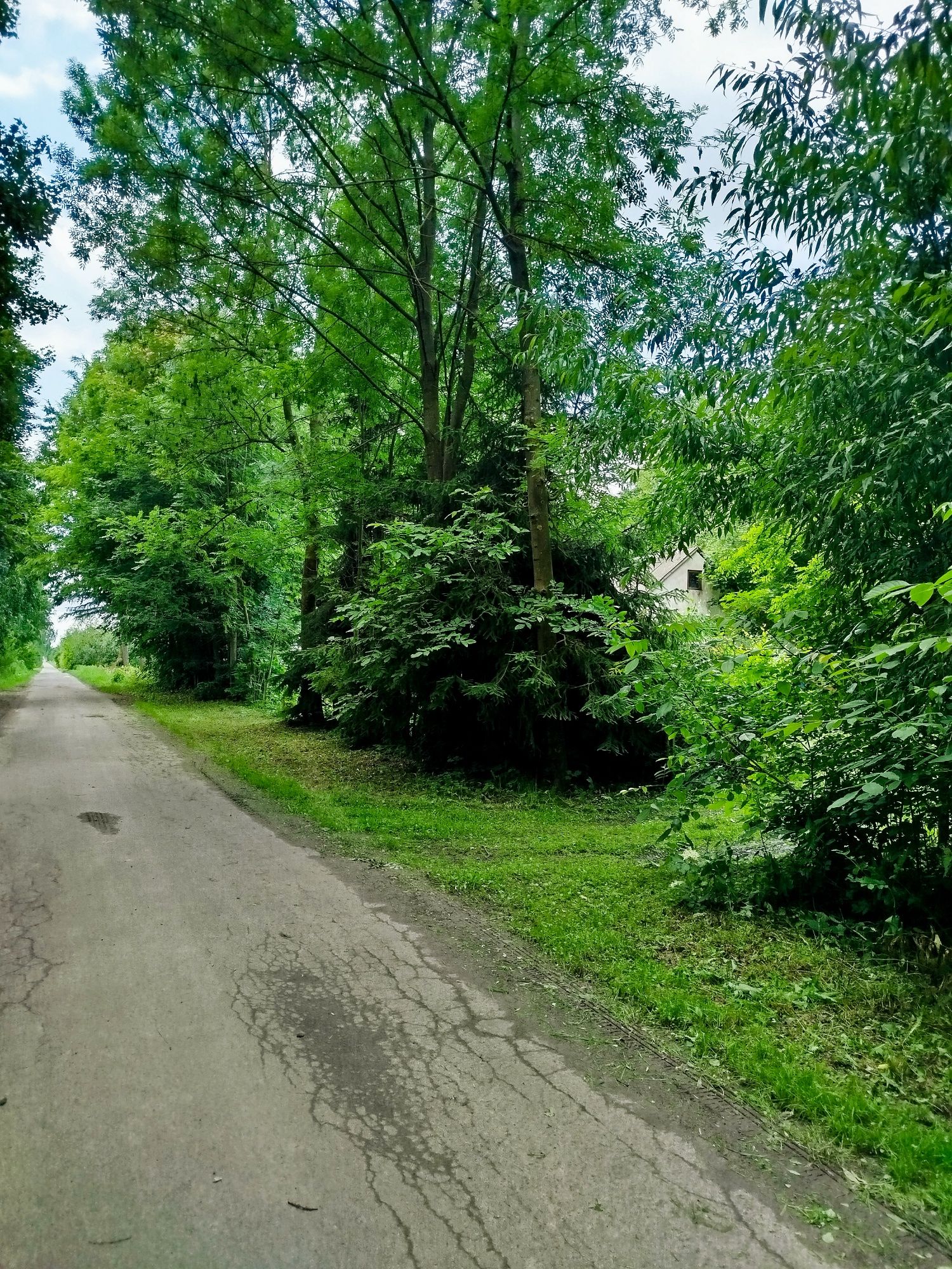 Sprzedam dom murowany z działką 30 arów