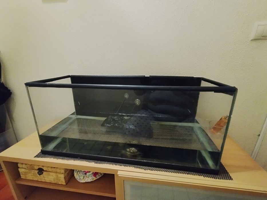 Aquário em bom estado