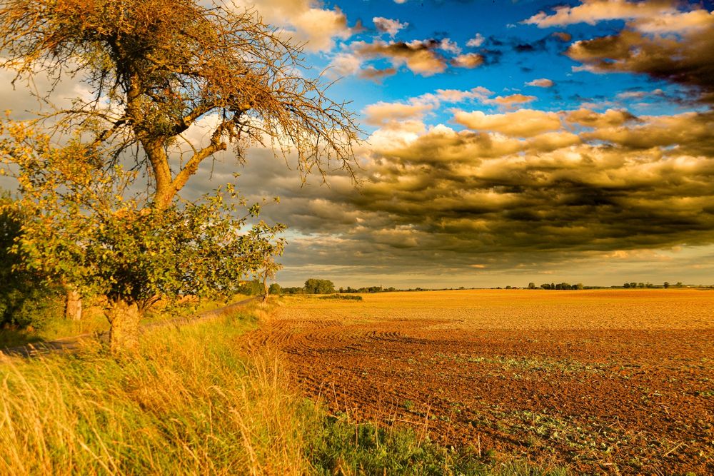 Videofilmowanie Drony