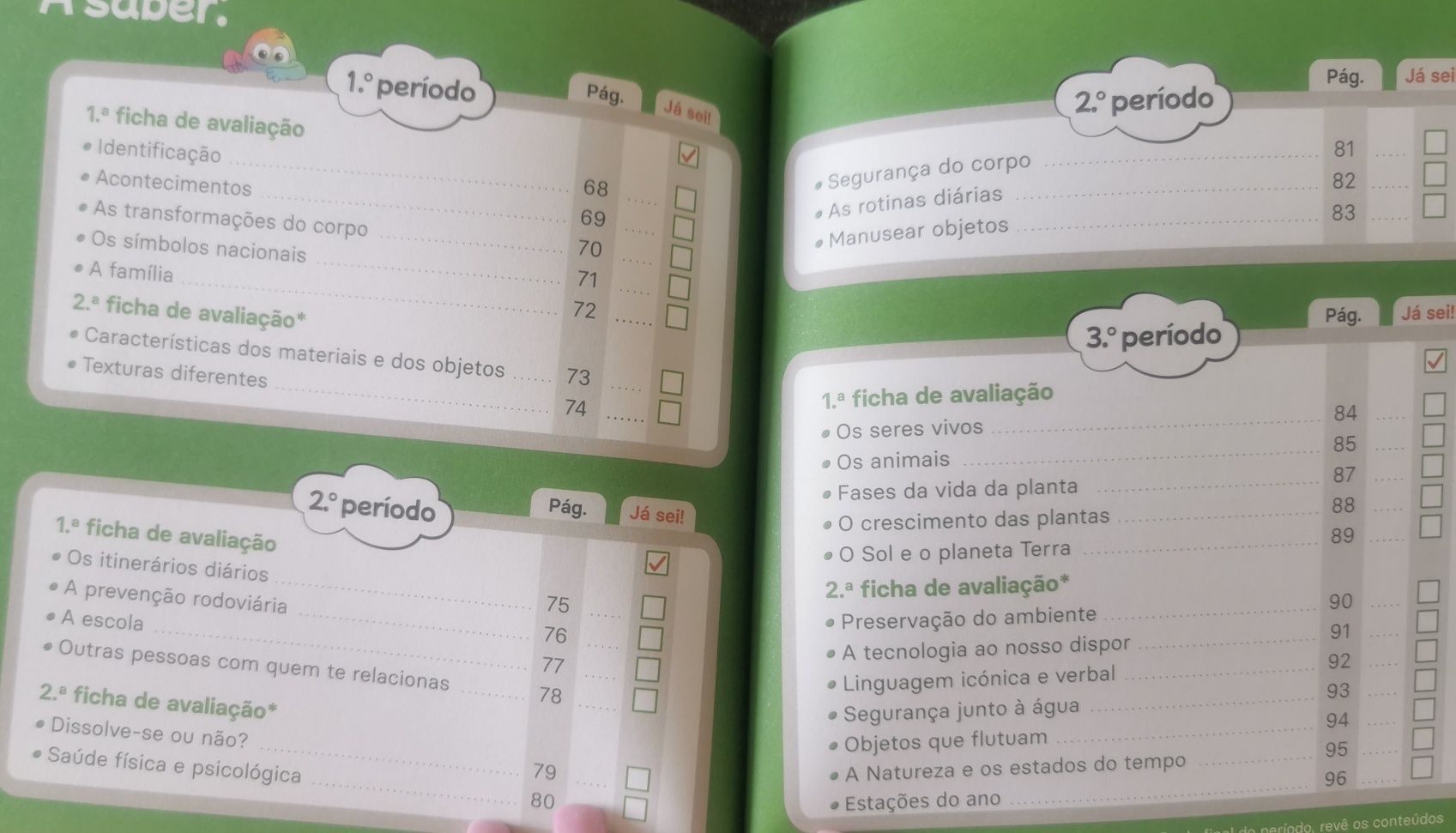 Livro 1°Ano Novo