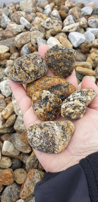 Otoczak Gnejsowy 20-30 i 30-50 Kamienie ogrodowe dekoracyjne ozdobne