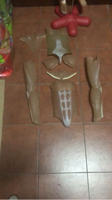 Coleçao Completa Corpo Humano NG