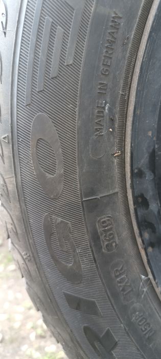 Dębica Frigo 2HP Opony i Felgi