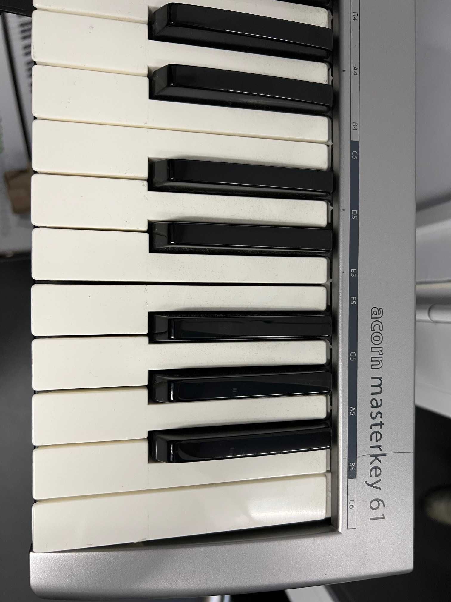 Acorn Instruments Masterkey teclado MIDI 61 teclas