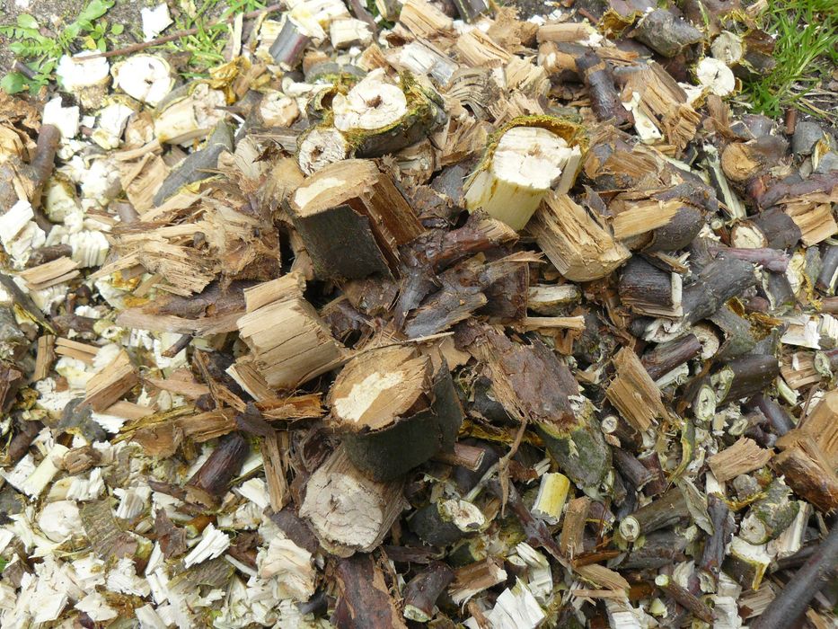 Rębak rozdrabniacz frez walec do gałęzi odpad ogród Einhell 2500