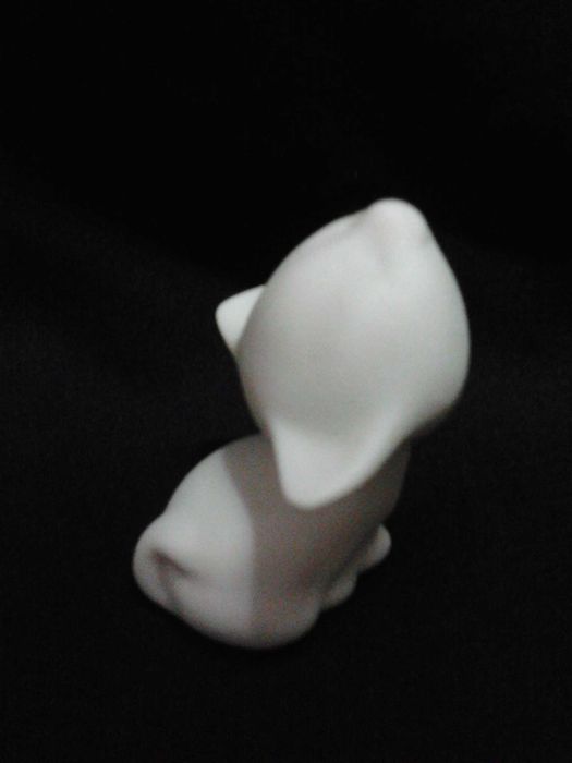 Artibus - Gato em excelente estado