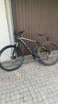 kross level B4 2023