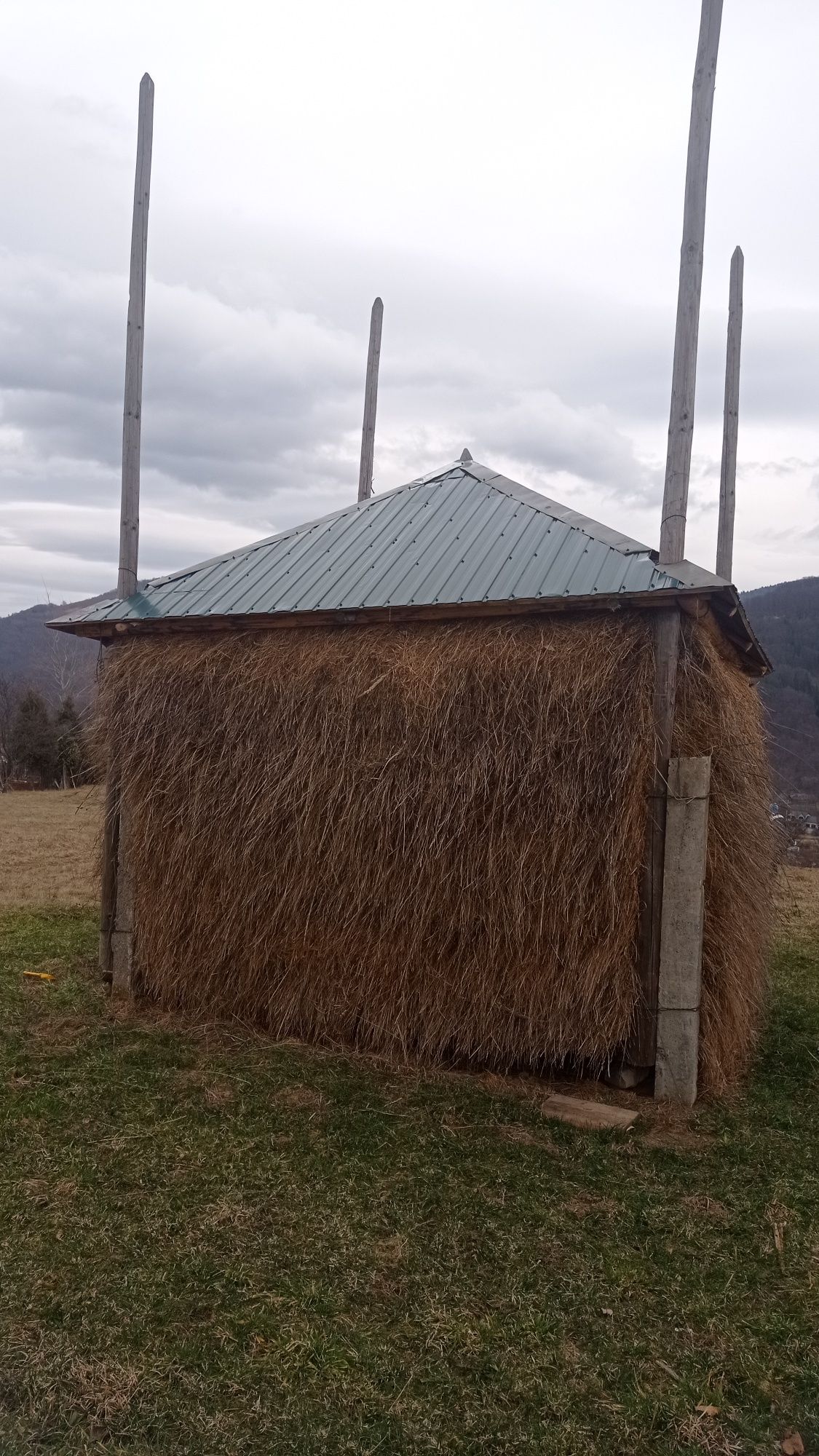 Продається сіно.