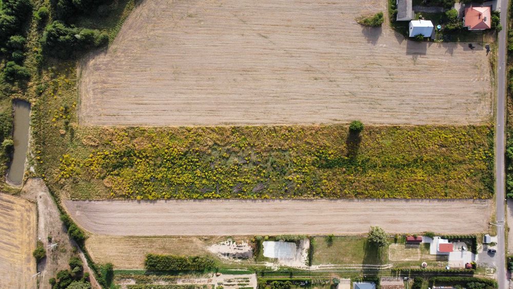 Działki budowlane- Biała, Radzyń Podlaski 0,21ha
