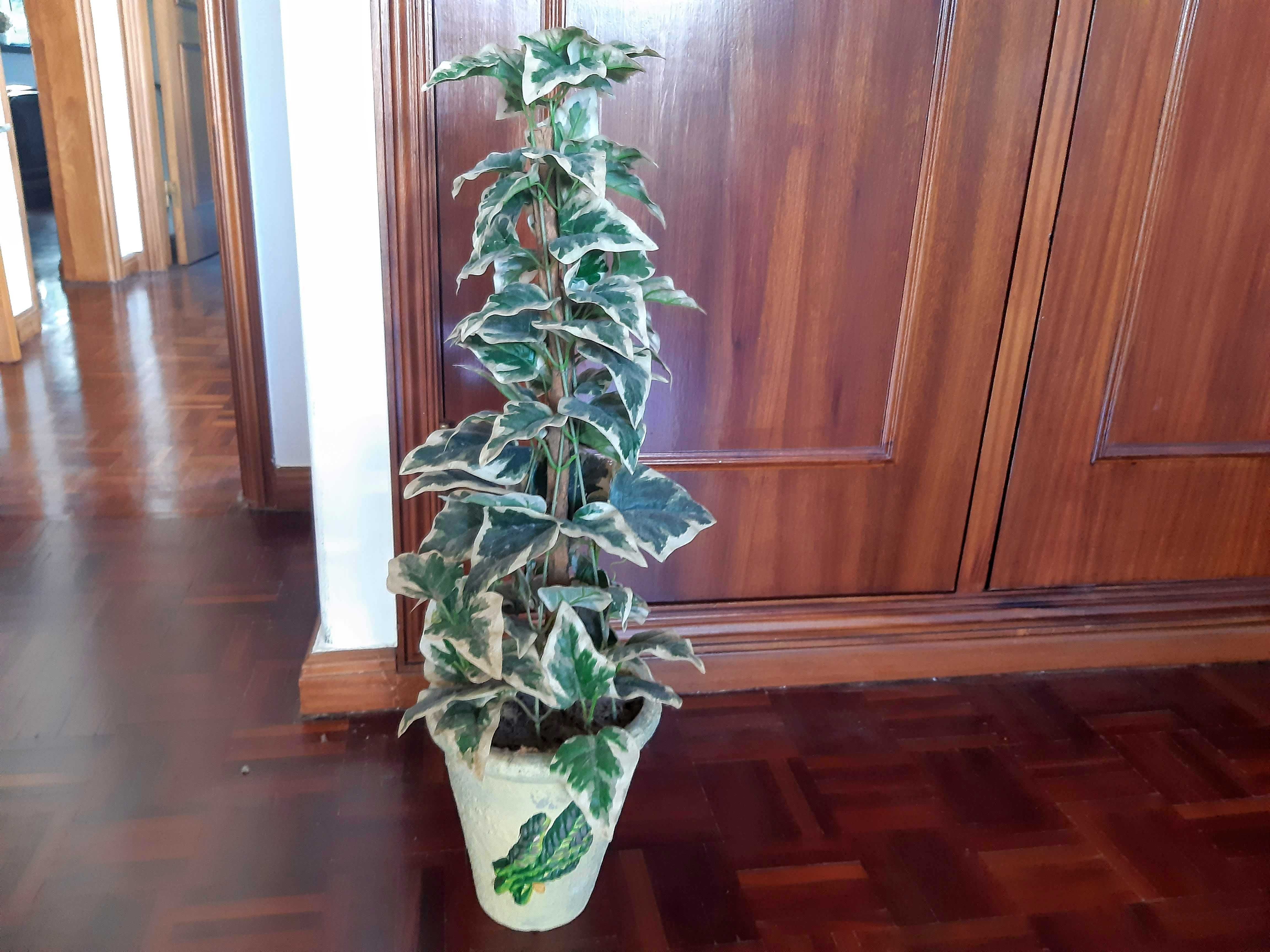 Planta artificial em vaso de cerâmica, como nova