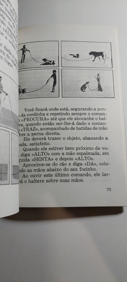 Adestramento de Cães - Renato A. dos Santos