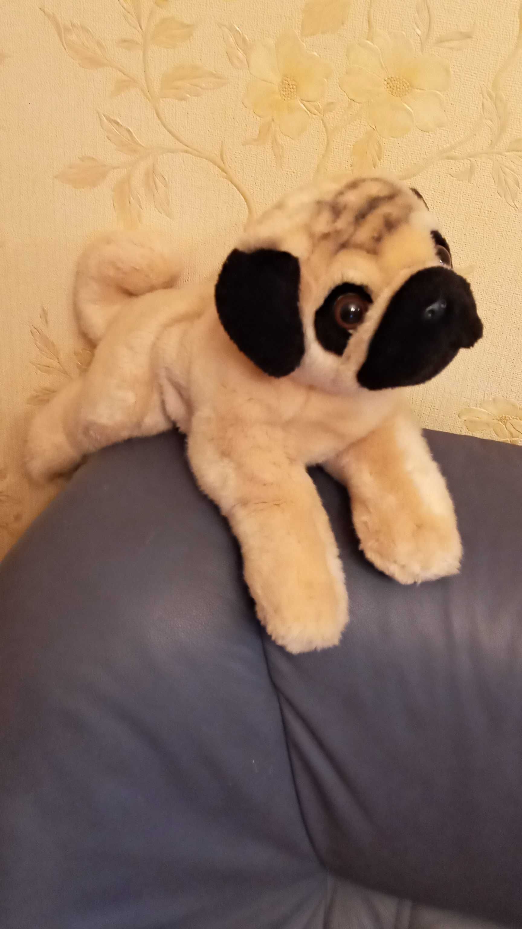 Продам мягкая игрушка собака Мопс