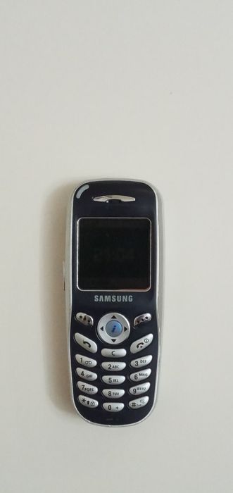 Samsung SGH-X100