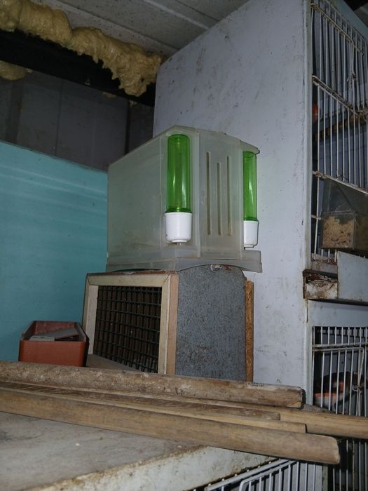 Passaros e  viveiros