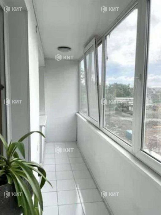 2к. 56м2, Центр (ул. Чернышевская 85, м. Ярослава Мудрого) 129775