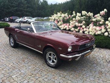 MUSTANG CABRIO 1966r. Wyjątkowy samochód ślubny - Retro