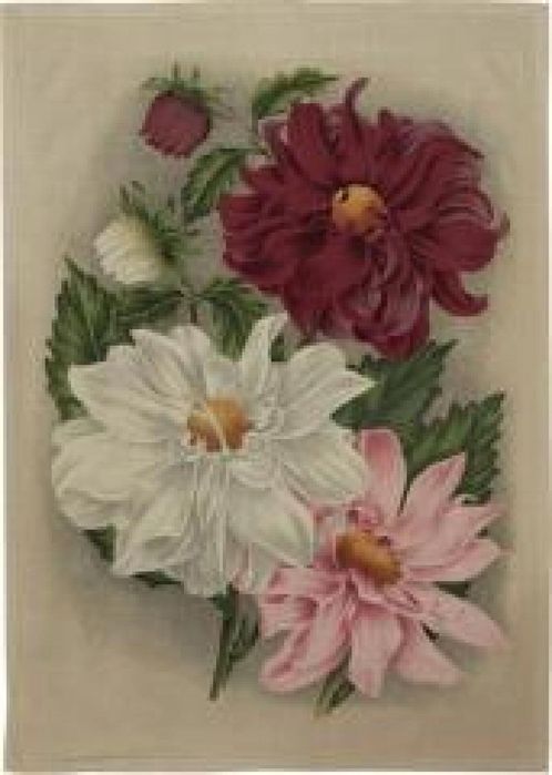 Ręcznik kuchenny - Dalia fioletowa oprawa: folia