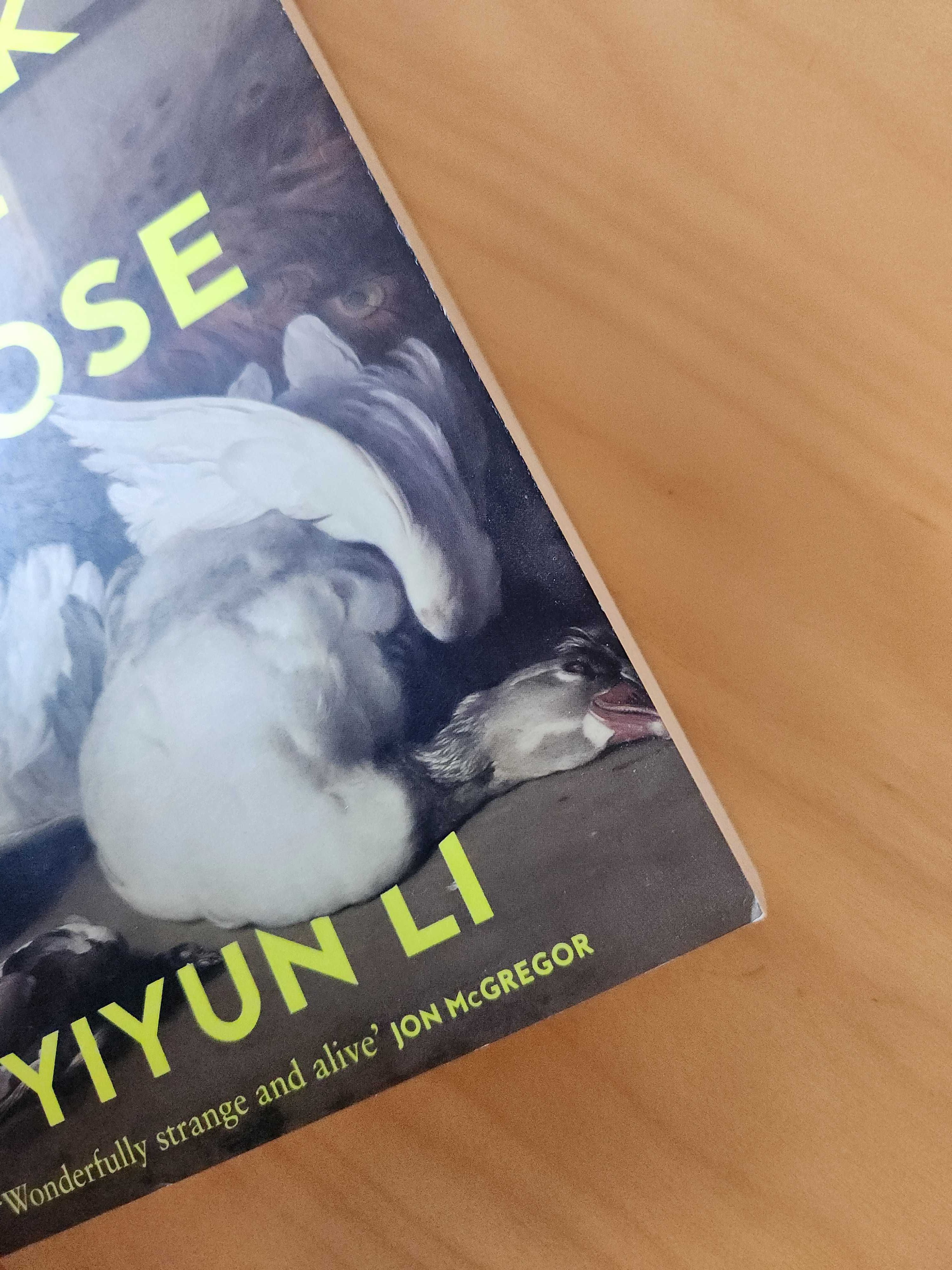 The Book Of Goose de Yiyun Li