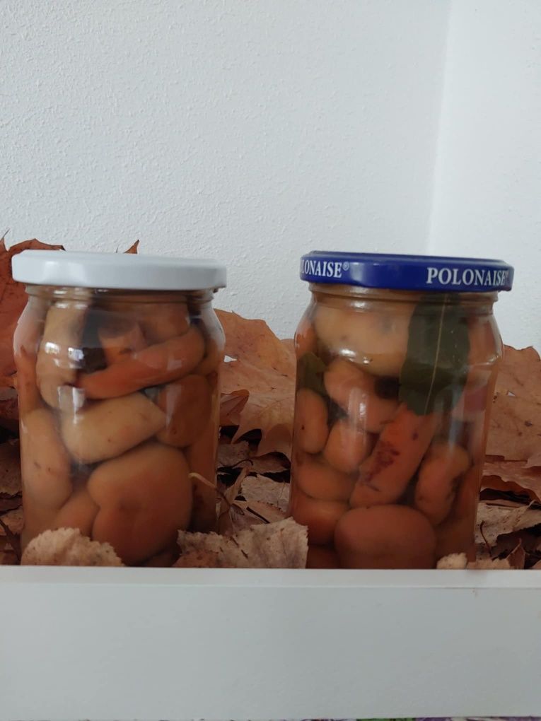 Grzyby i miody na sprzedarz