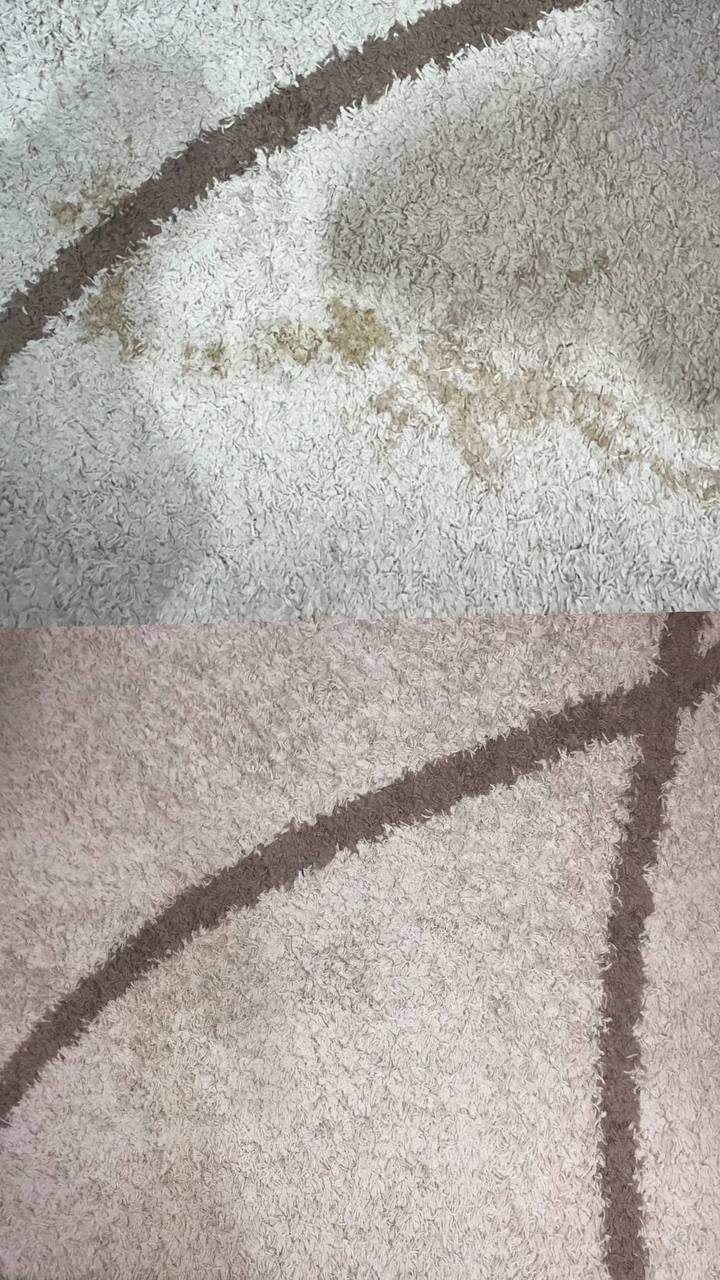 Хімчистка килимів