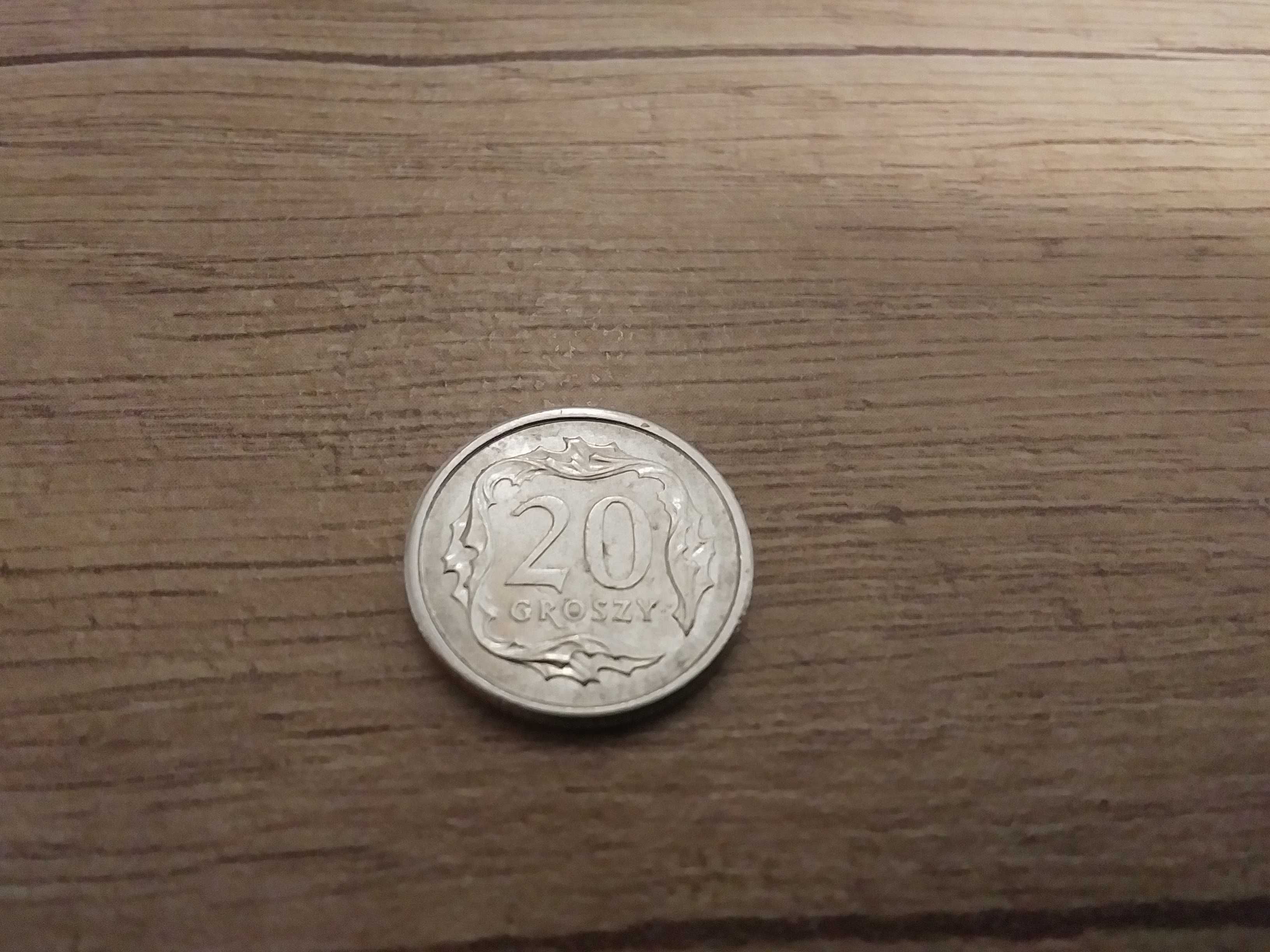 Skrętka moneta obiegowa 20 gr groszy 2007 destrukt skręcona groszówka