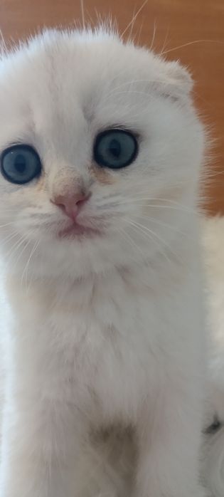 І буде Вам щастя