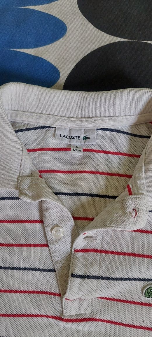 Polo Lacoste 8 anos