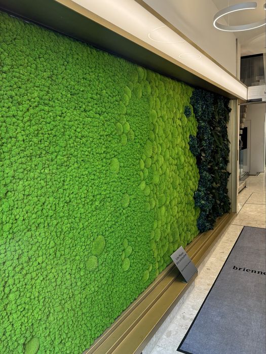 Вертикальне Озеленення. Фітостіна Мох. Декор из Мха