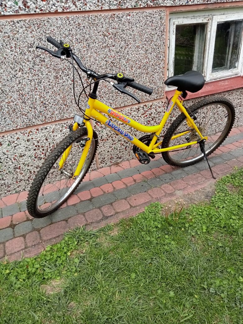 Rower młodzieżowy  26