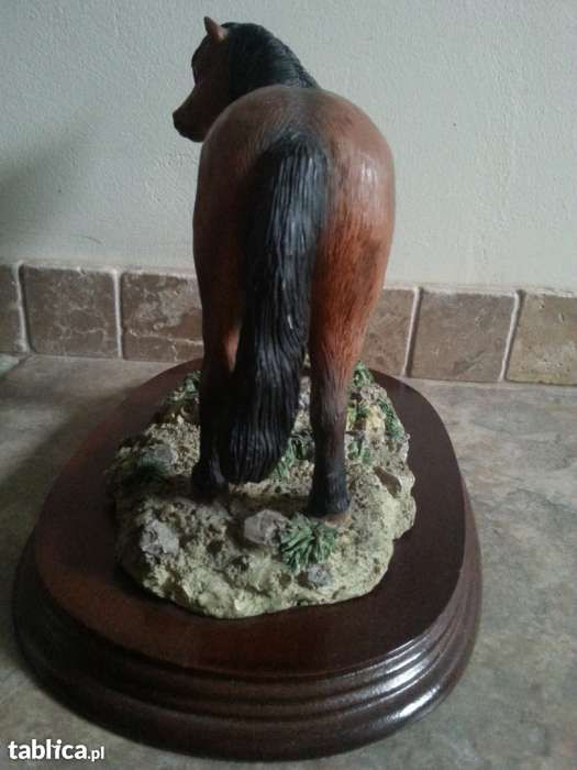 Kucyk Scotland Pony by Leonardo Collection UK