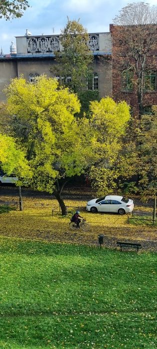 Психолог онлайн - разбор бесплатно