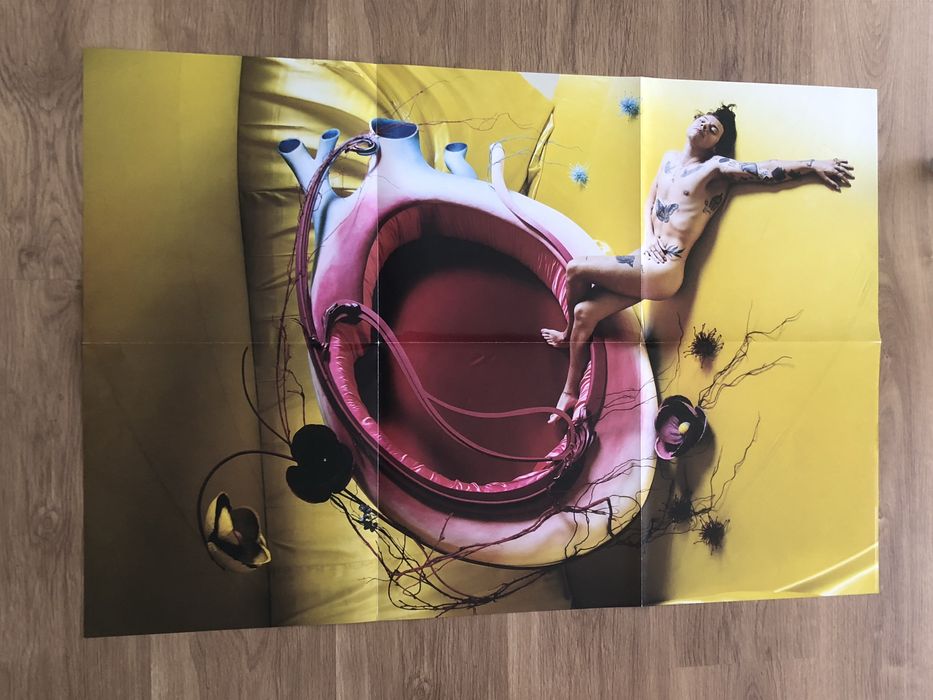 Disco de vinil (2LP) Fine Line - Harry Styles