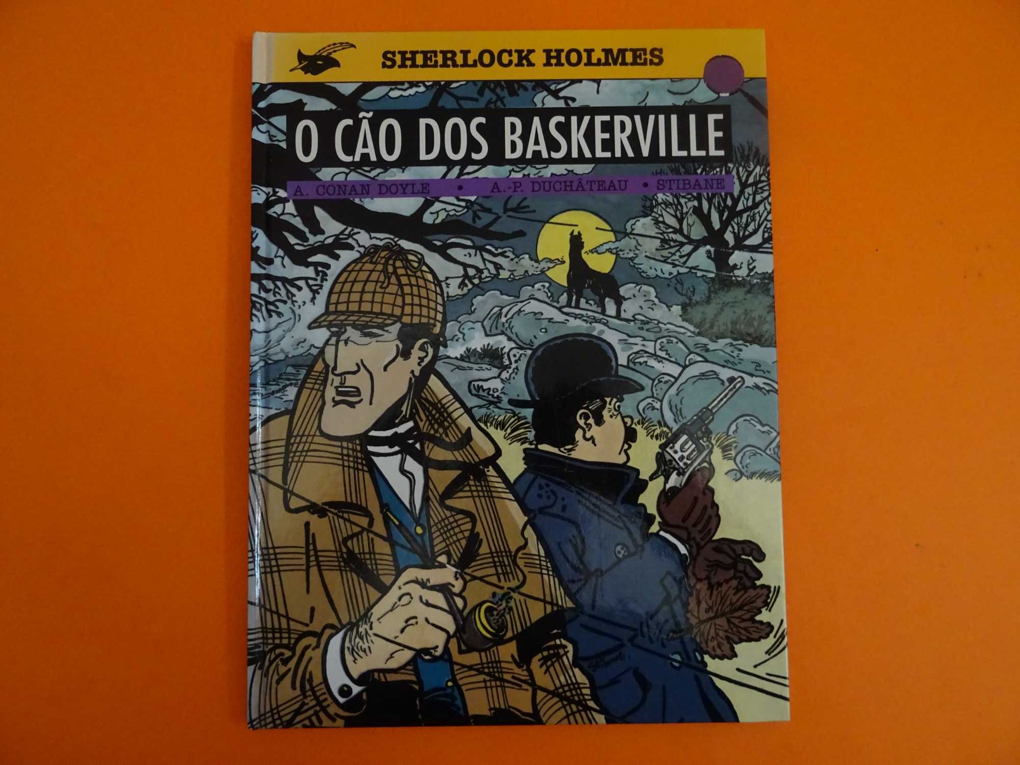 BD: Sherlock Holmes - O cão dos Baskerville - Duchâteau – Stibane