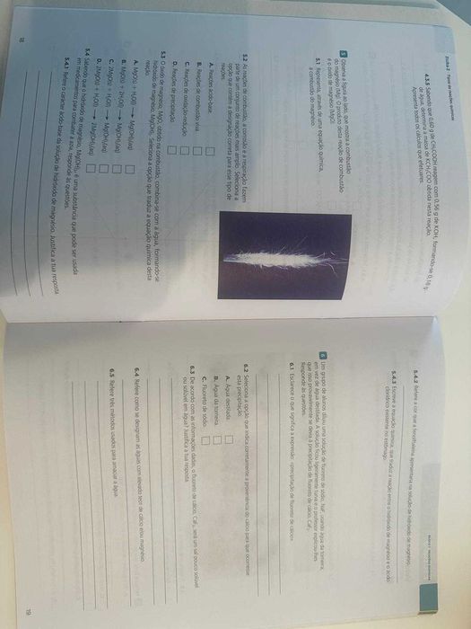 Físico-Química 8 - Sentillana - caderno de atividades