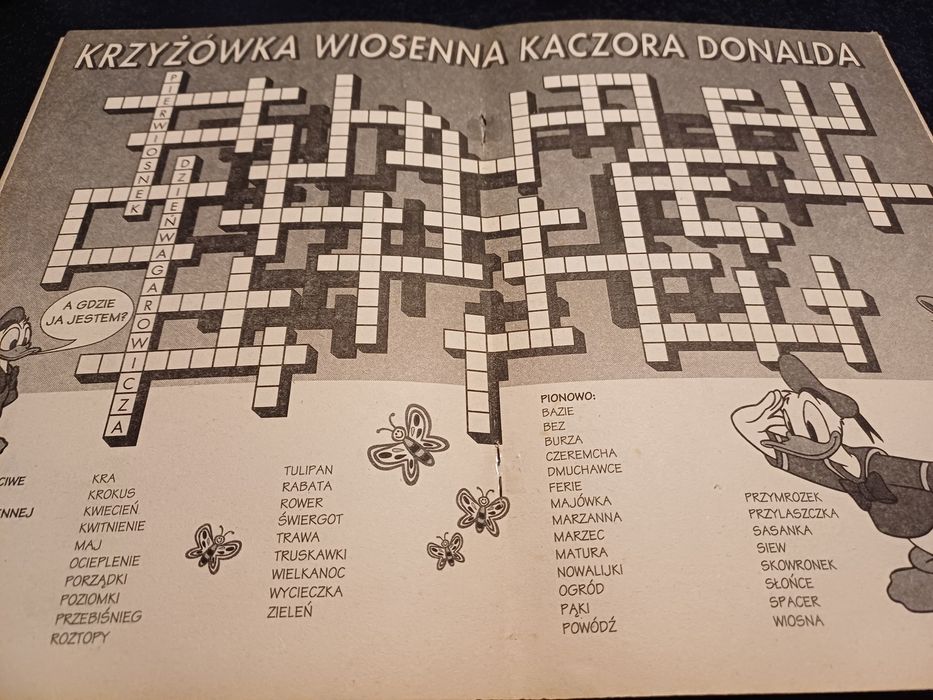 Kaczor Donald Łamacz Głowy