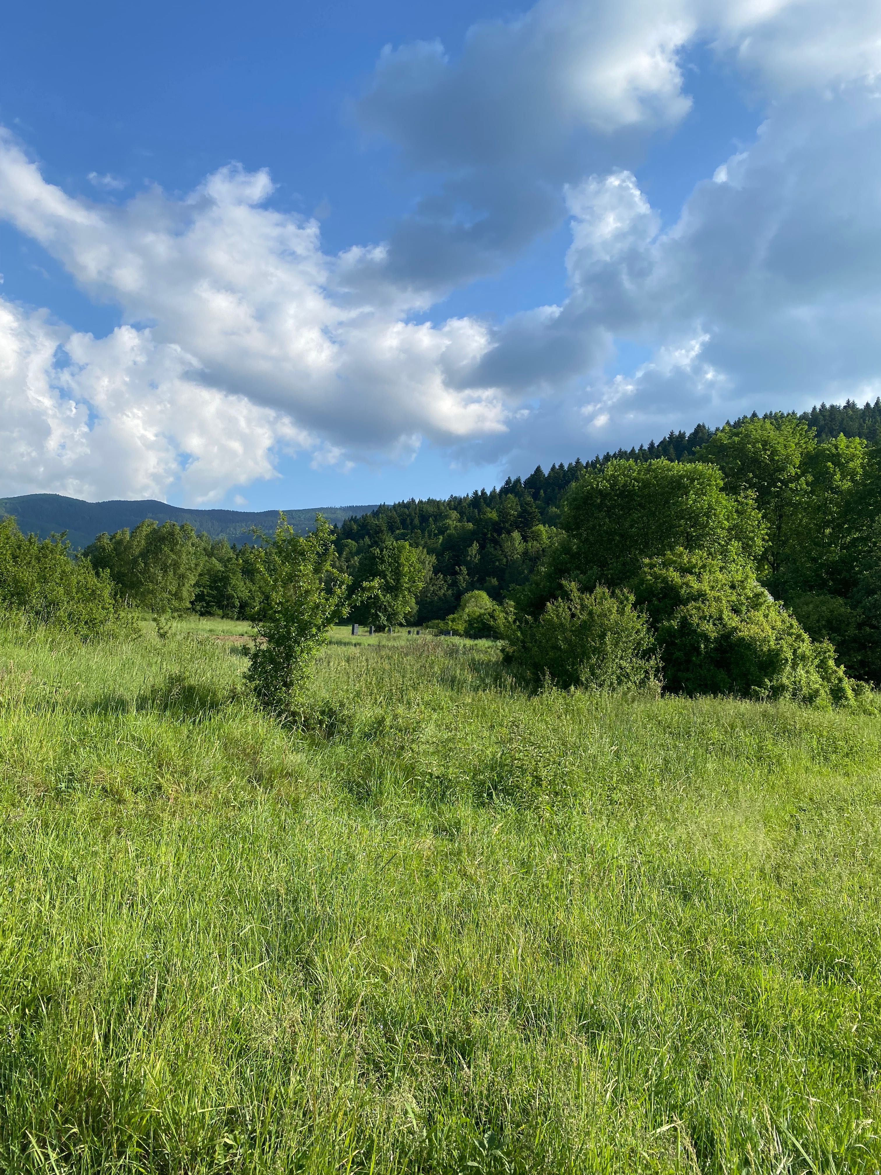 Pokoje, nocleg, delegacja,kwatera, majówka