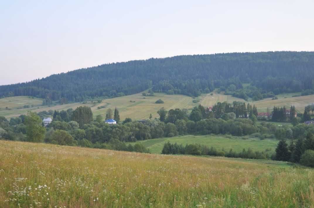Działka rolna w obrębie miasta Ustrzyki Dolne