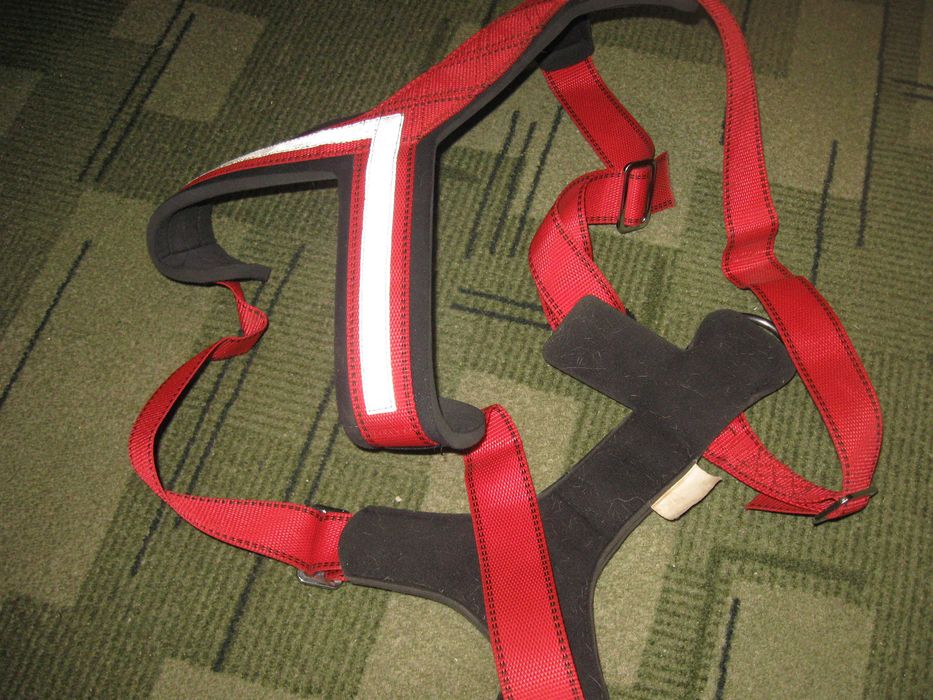 Шлейка-сбруя на дуууужжже велику собаку