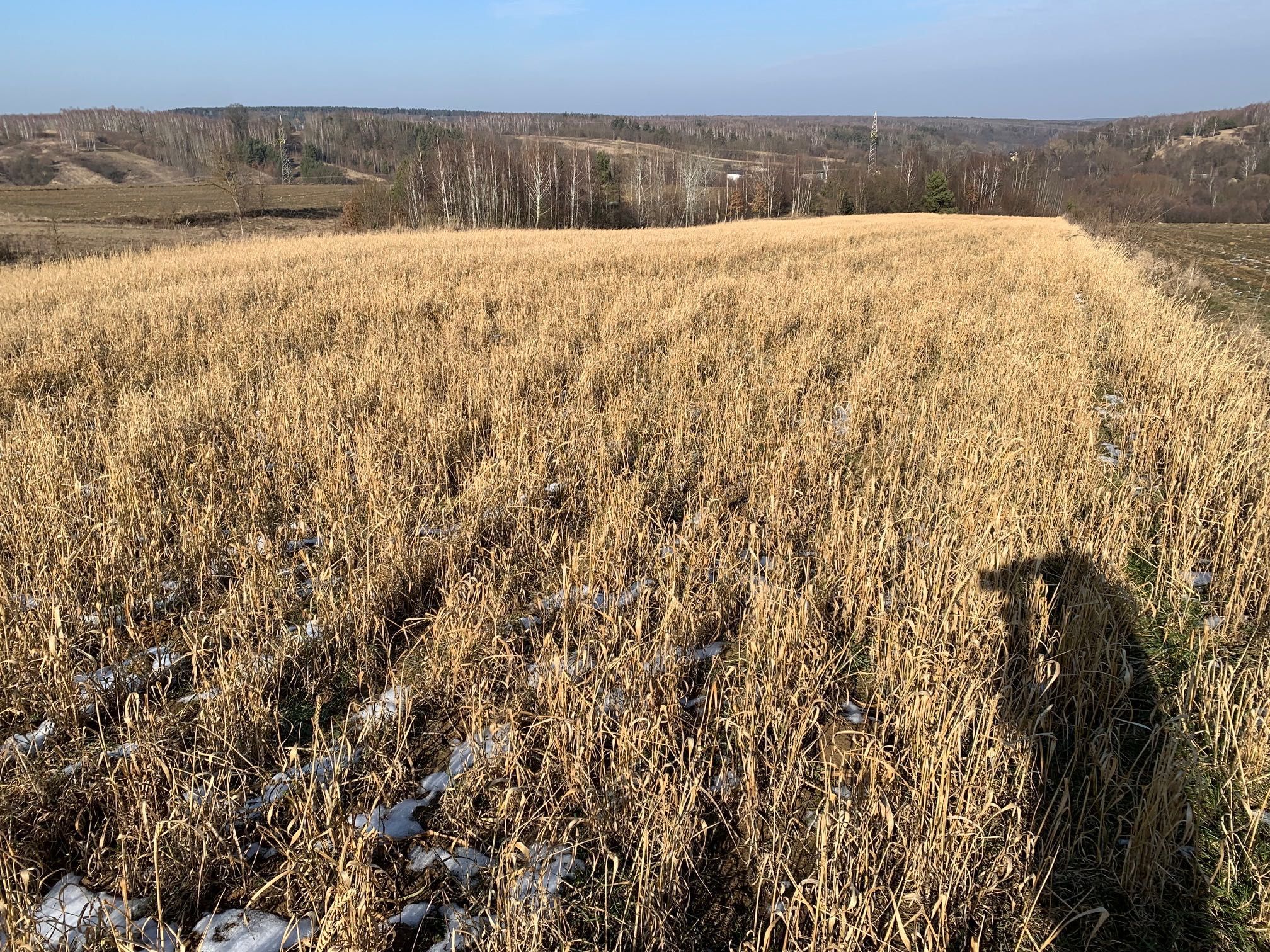 ATRAKCYJNA działka rolno-budowlana z domem i zabudowaniami_OKAZJA