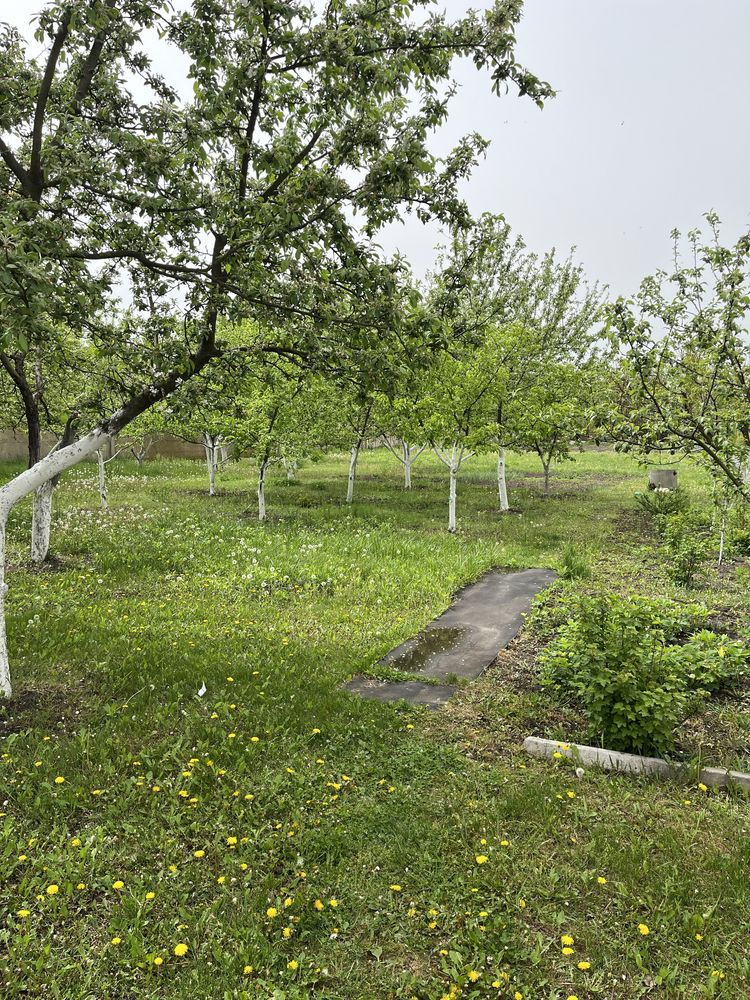 Продам будинок в центрі с.Орлівщина