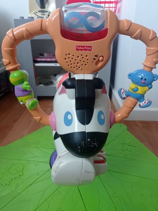 Zebra rodeo para criança