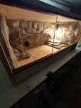 Terrarium skalne dla agamy, nowe