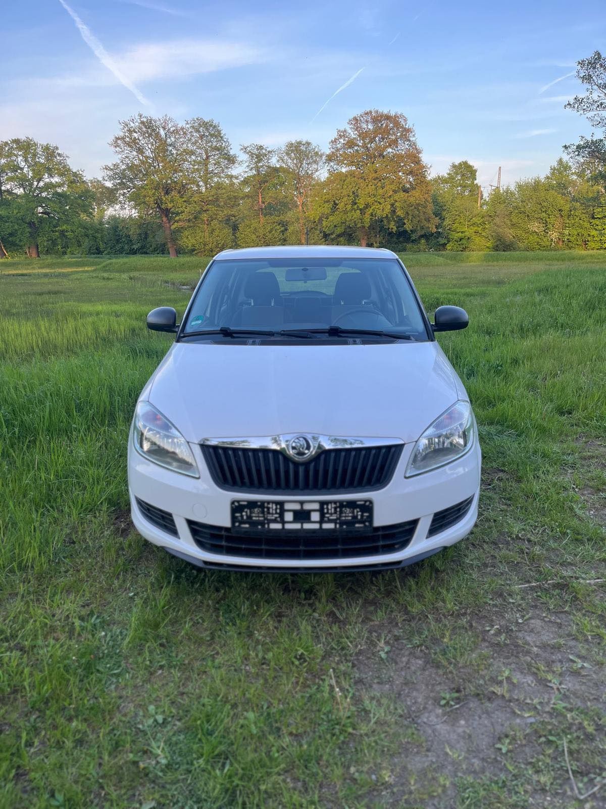 Skoda Fabia II 2013r. Z Niemiec